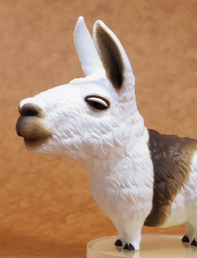 頭部の反対側のアップ